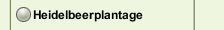 Heidelbeerplantage